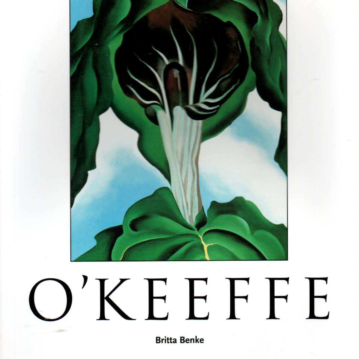 O'Keeffe 1887-1986 - Bloemen in de woestijn -