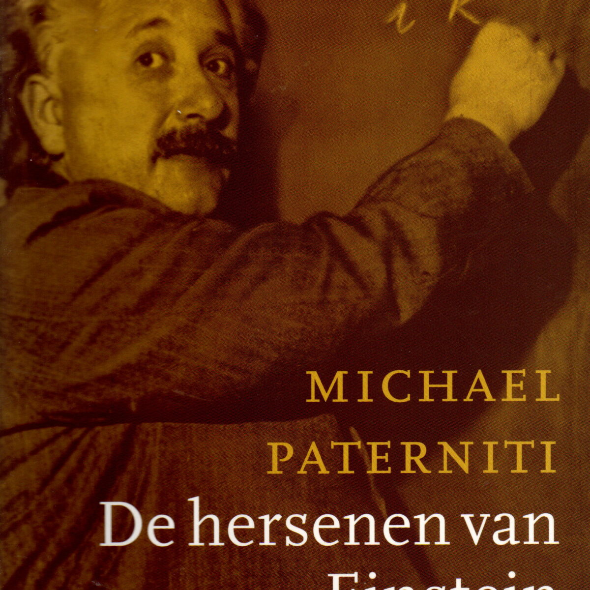 De hersenen van Einstein