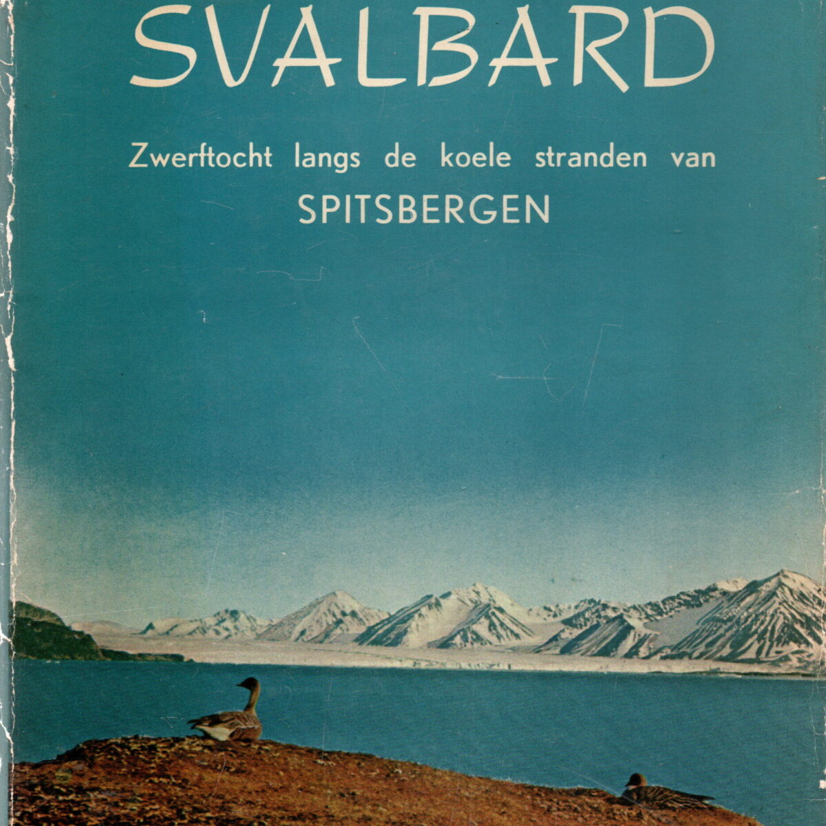 Svalbard - Zwerftocht langs de koele stranden van Spitsbergen -