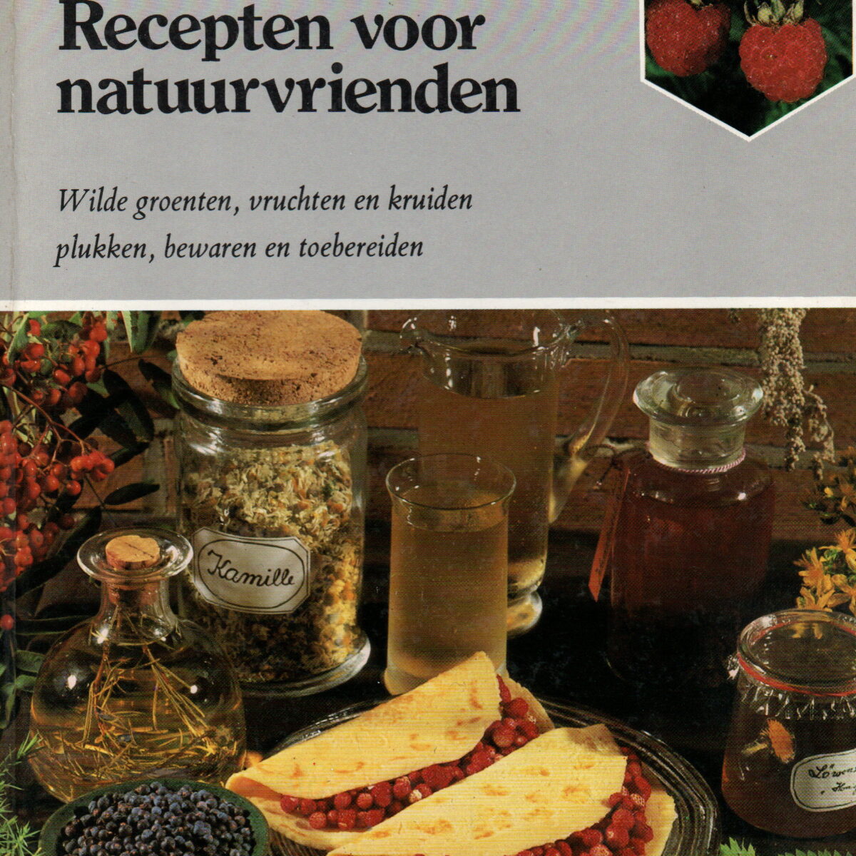 Recepten voor natuurvrienden - Het herkennen, plukken en toebereiden van in het wild groeiende groenen, vruchten en kruiden -