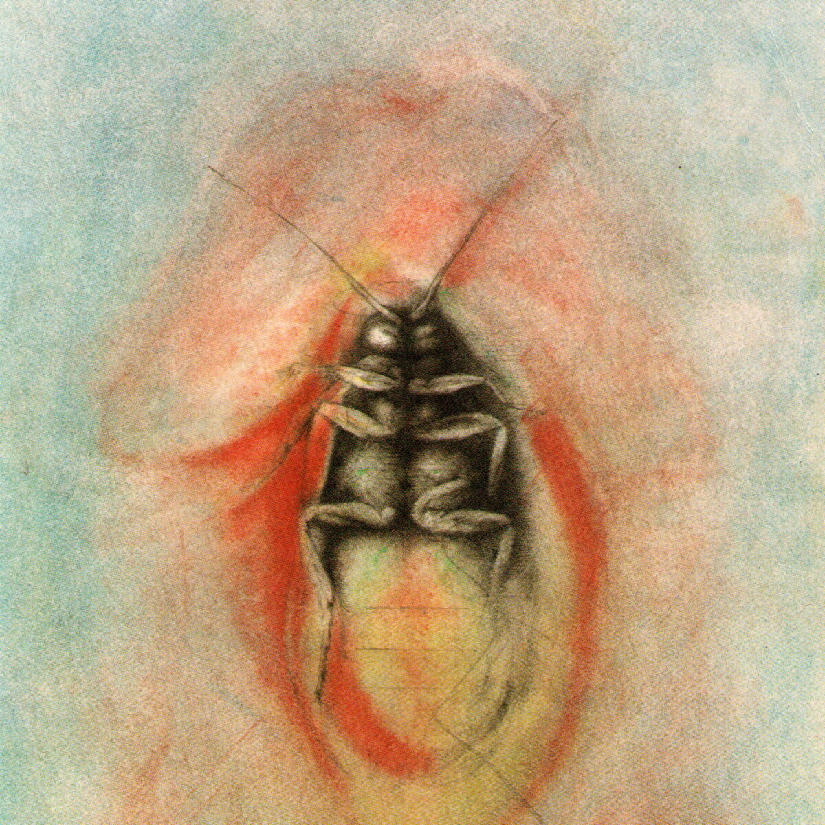 De liefdeskever - zeven verhalen -