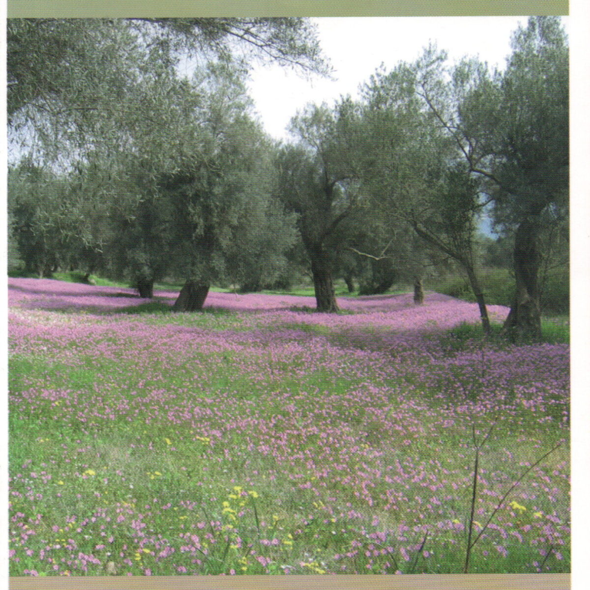 Lefkada - Ten Voeten Uit - Wandelgids -