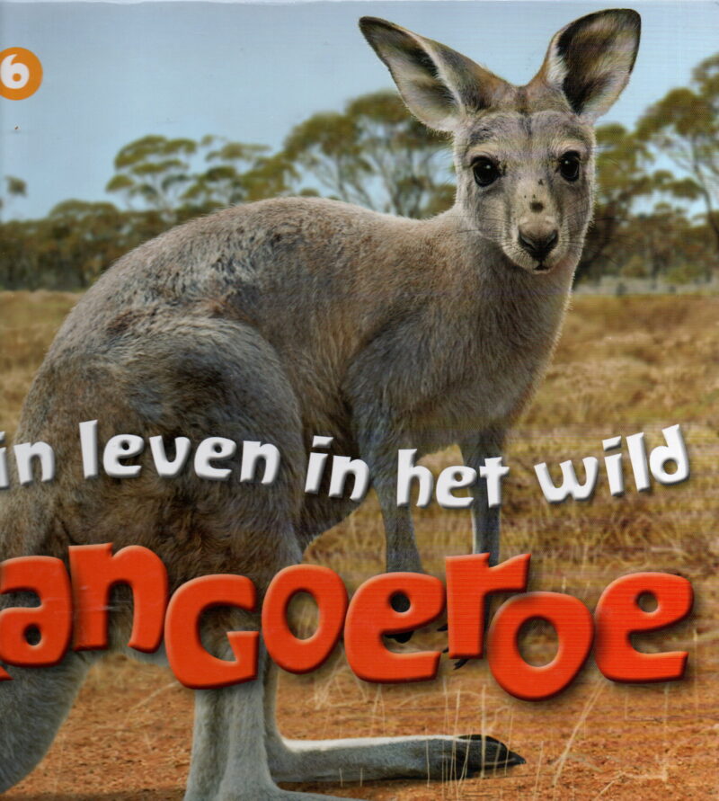Mijn leven in het wild - Kangoeroe -