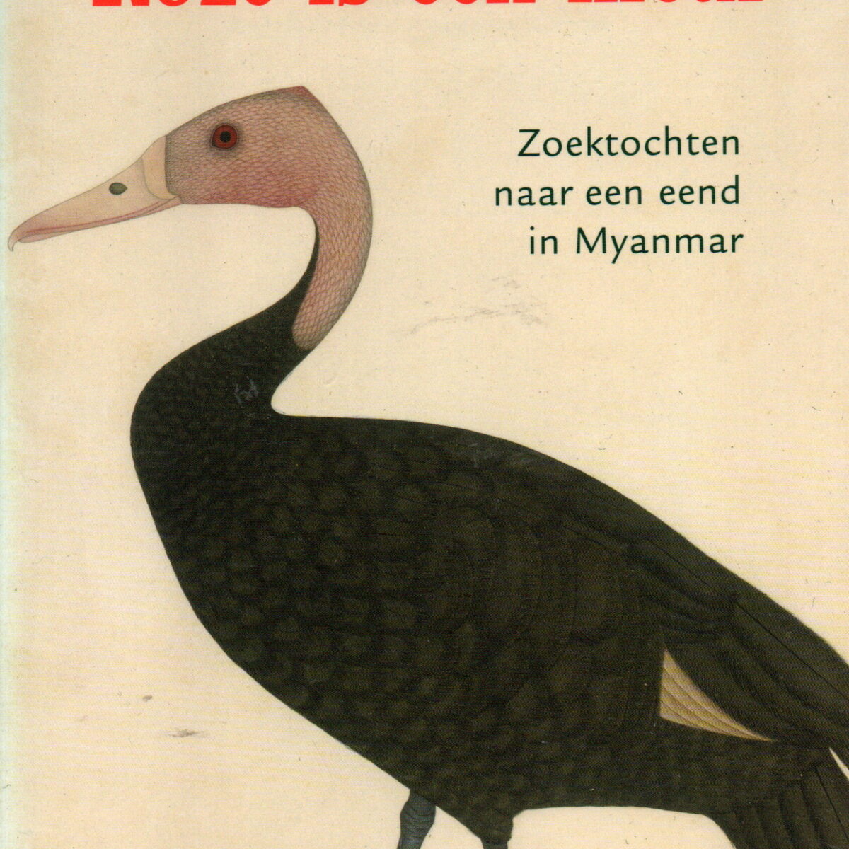 Roze is een kleur - Zoektochten naar een eend in Myanmar -