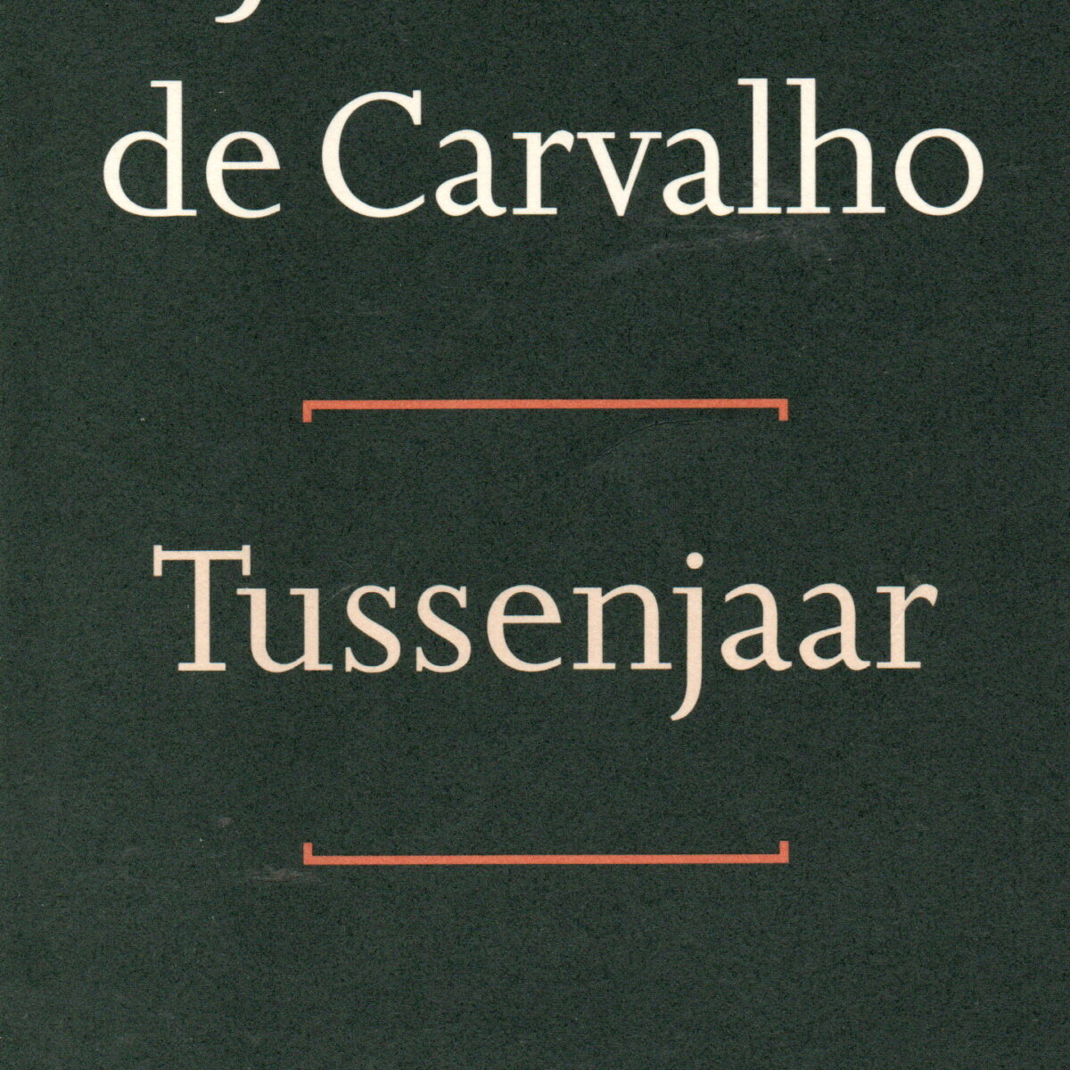 Tussenjaar - Dagboek mei 1994 tot mei 1995 -