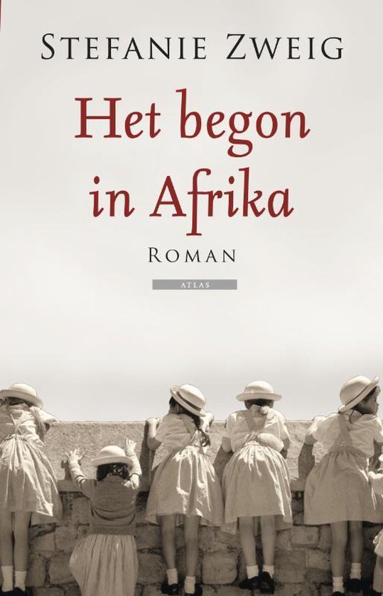 Het begon in Afrika - roman -