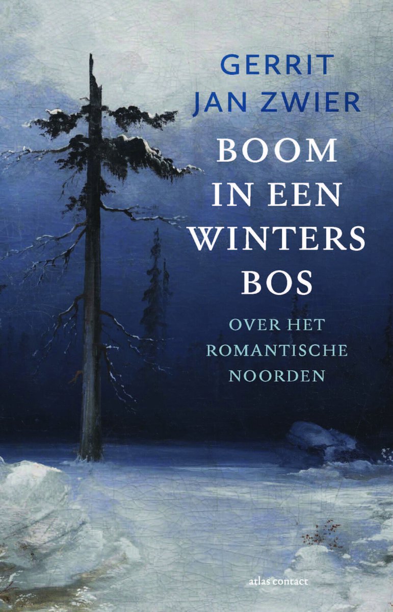 Boom in een winters bos - Over het romantische noorden -