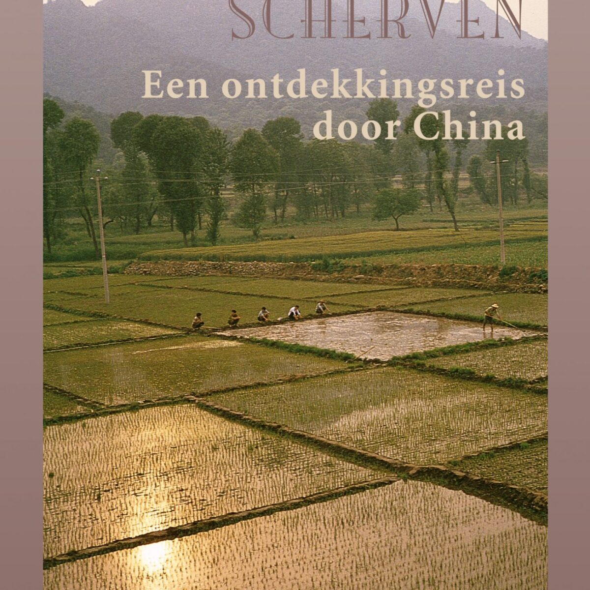 De twee scherven