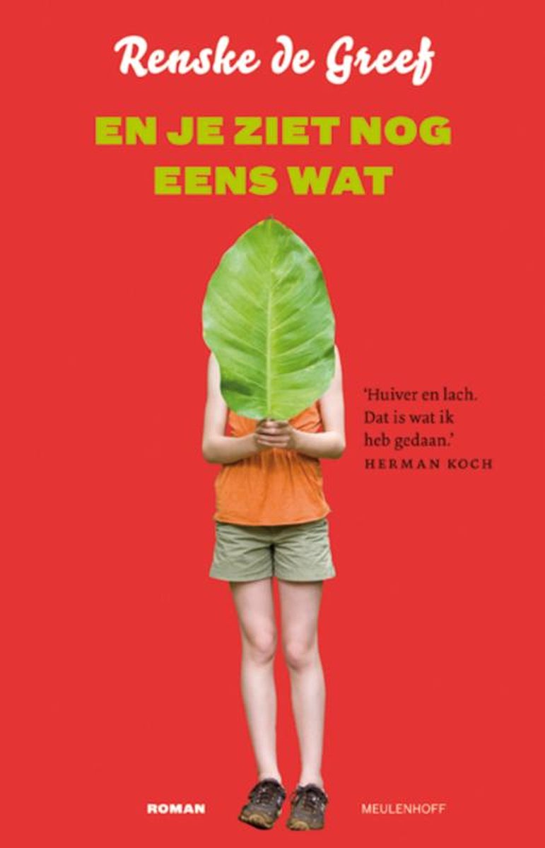 En je ziet nog eens wat - roman -