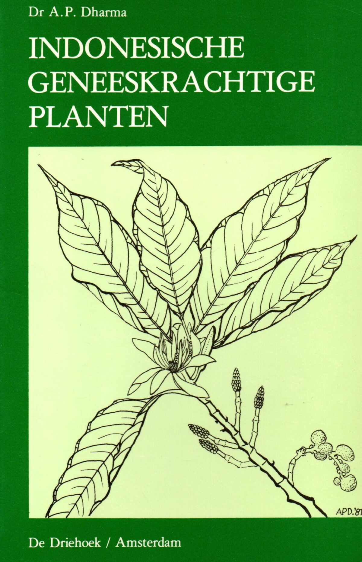 Indonesische geneeskrachtige planten