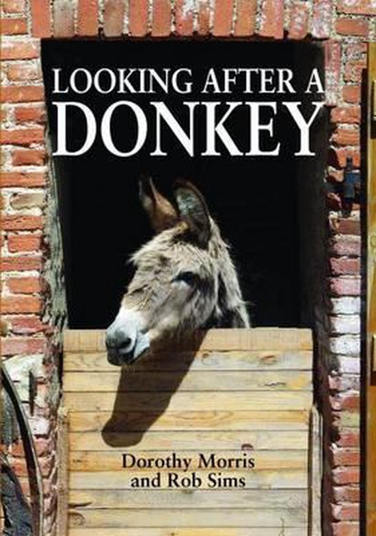 Looking after a Donkey