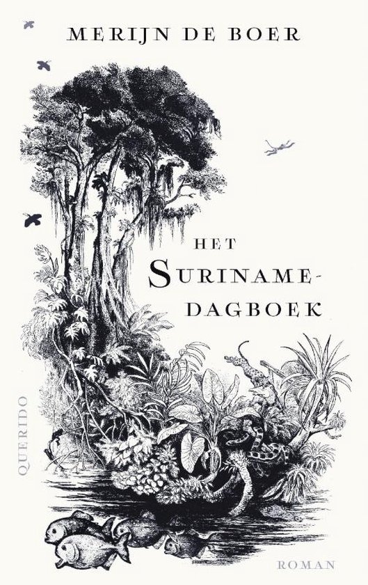 Het Suriname-dagboek - roman -