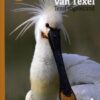 Vogels van Texel - Texel vogeleiland - inclusief een vogelkijkkaart van Texel met alle vogelkijkpunten -