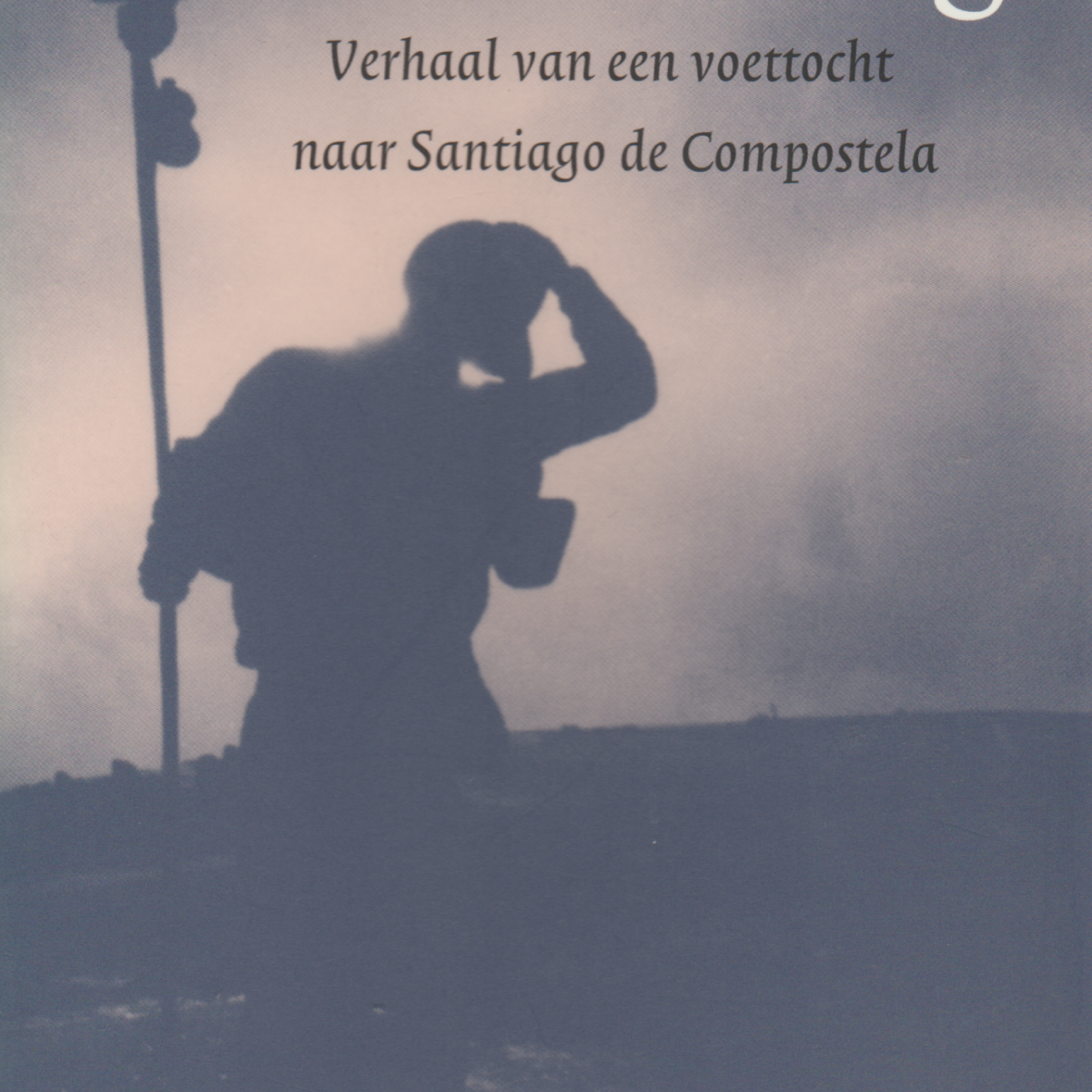 Ver onderweg - Verhaal van een voettocht naar Santiago de Compostela -
