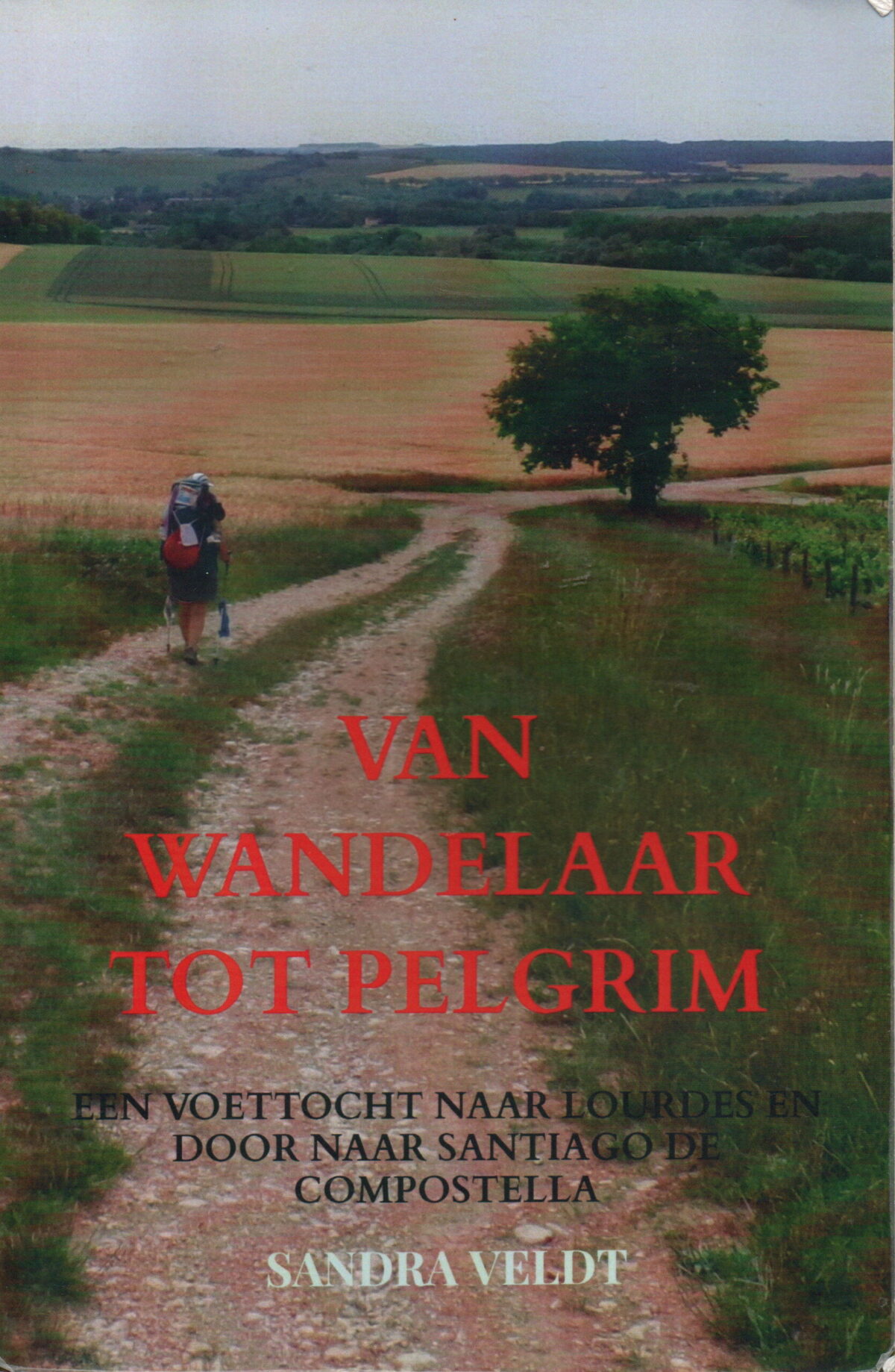 Van wandelaar tot pelgrim - Een voettocht naar Lourdes en door naar Santiago de Compostella -