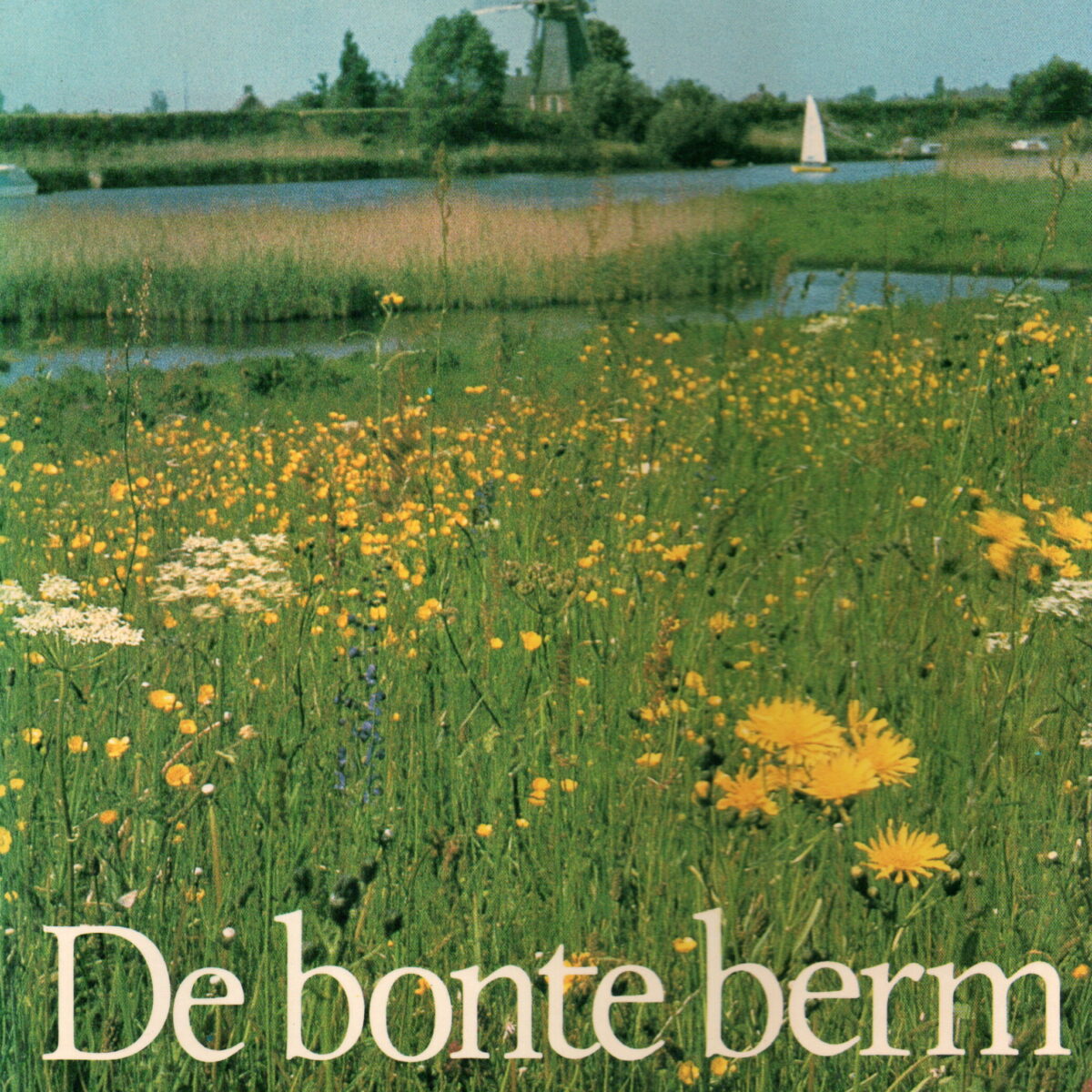 De bonte berm - De rijke flora en fauna langs onze wegen -
