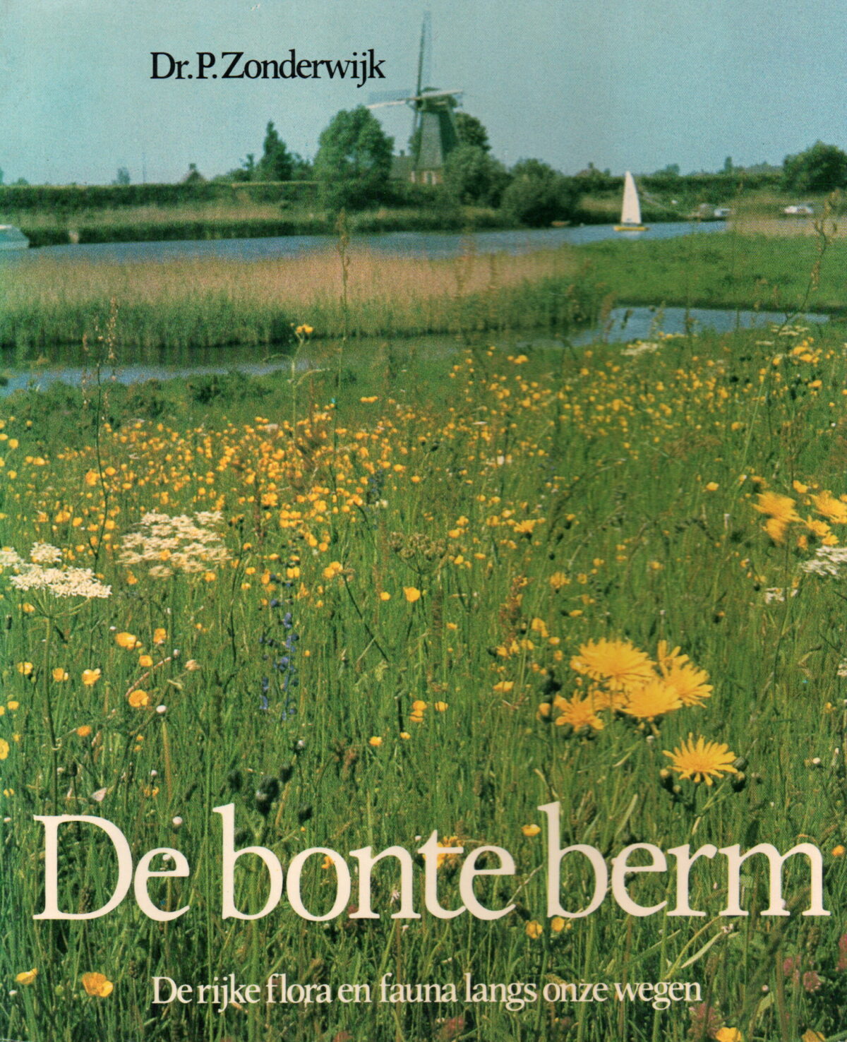 De bonte berm - De rijke flora en fauna langs onze wegen -