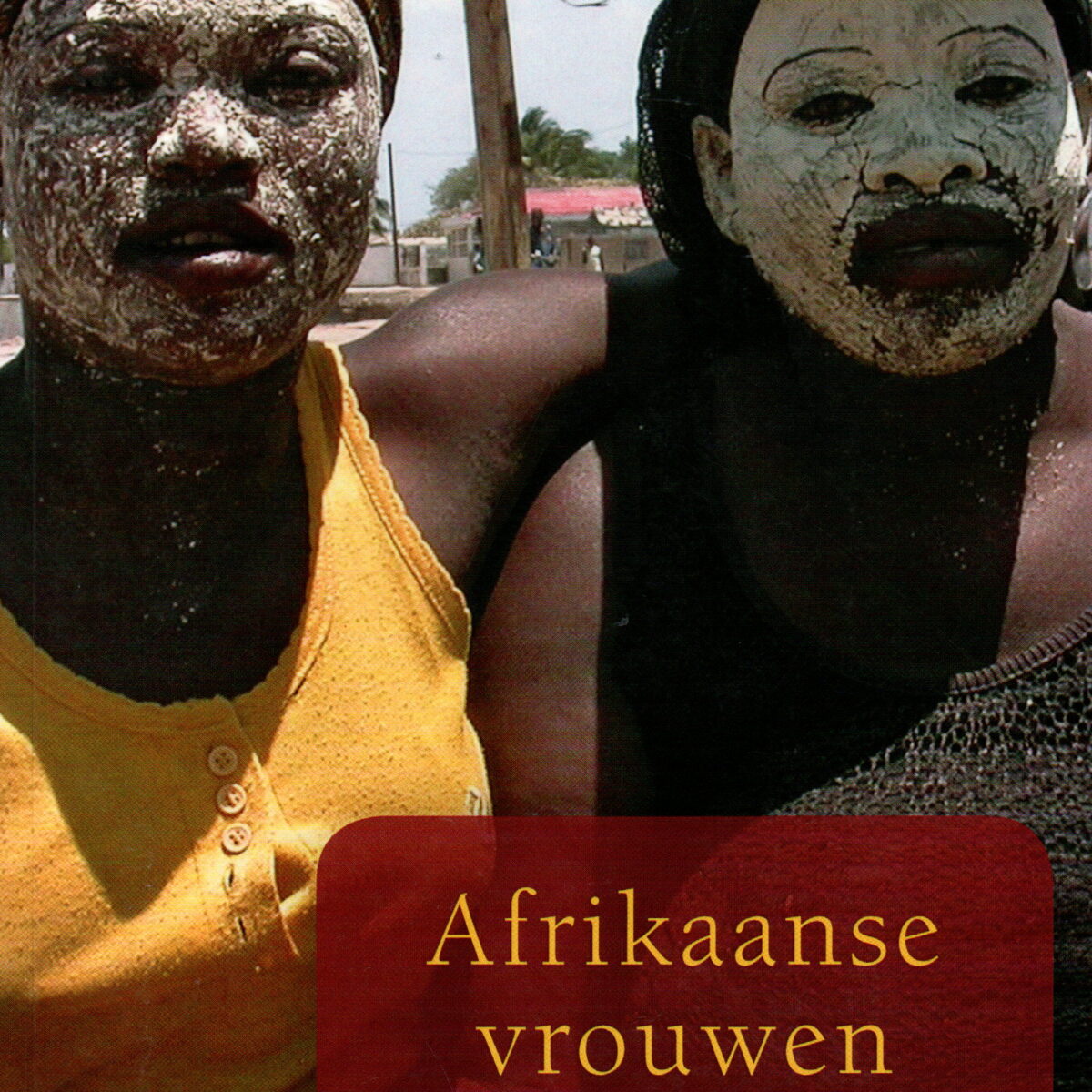 Afrikaanse vrouwen - Verhalen uit Mozambique -