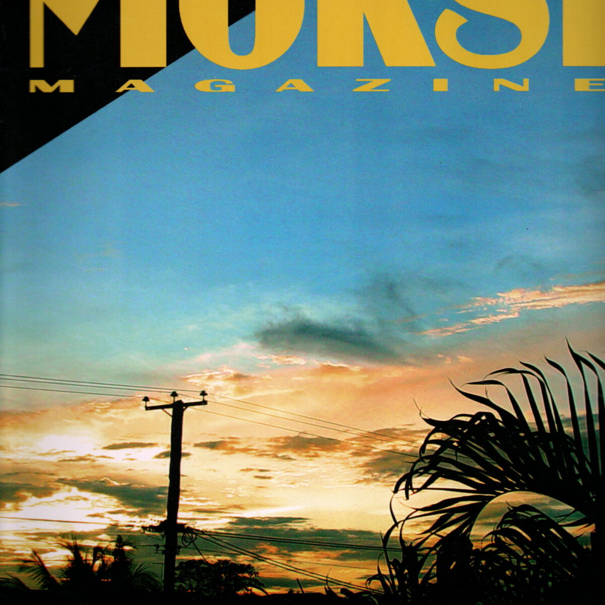 Moksi Magazine - Suriname positief belicht -