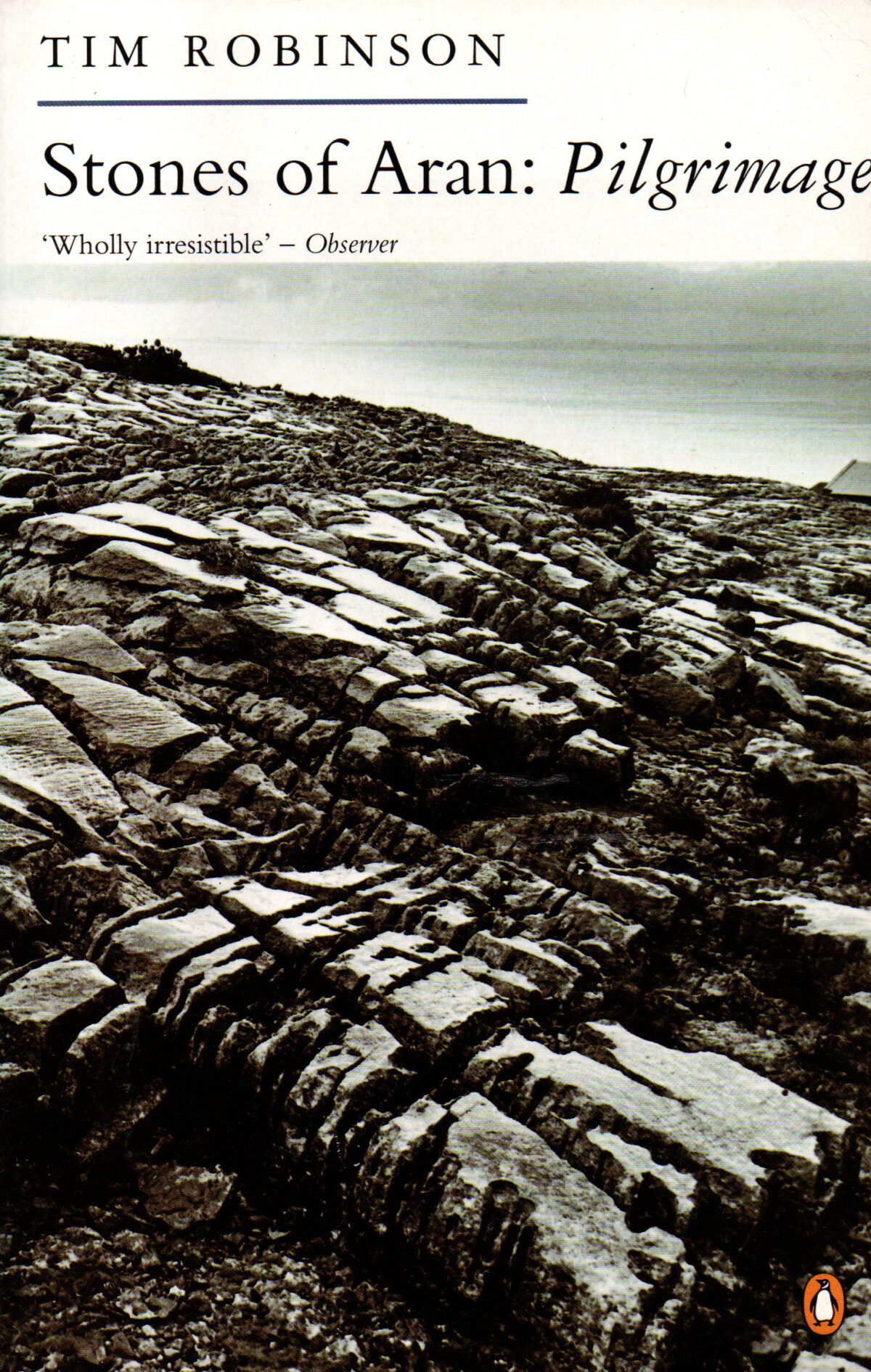 Stones of Aran: Pilgrimage