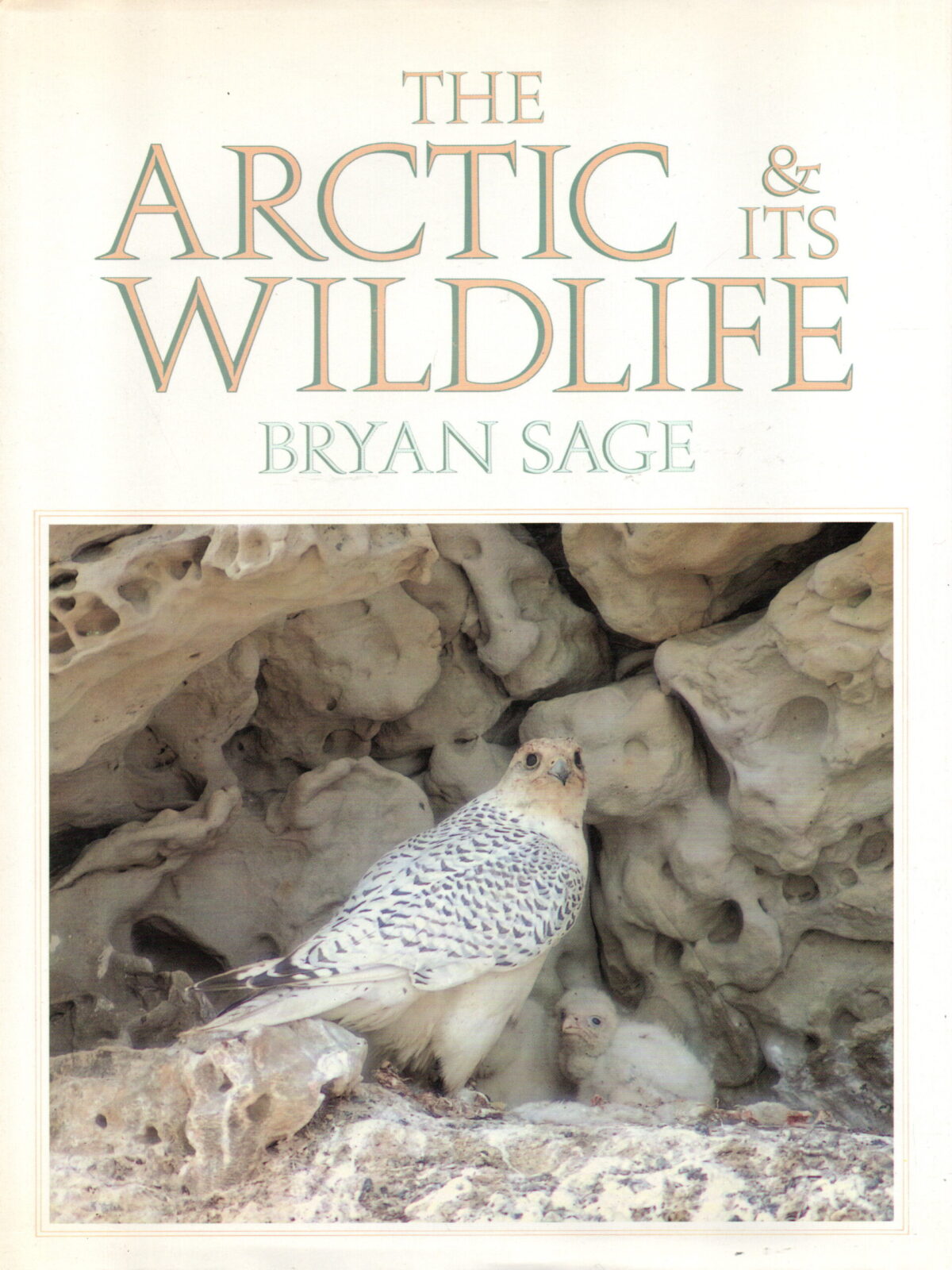 The Arctic & its Wildlife