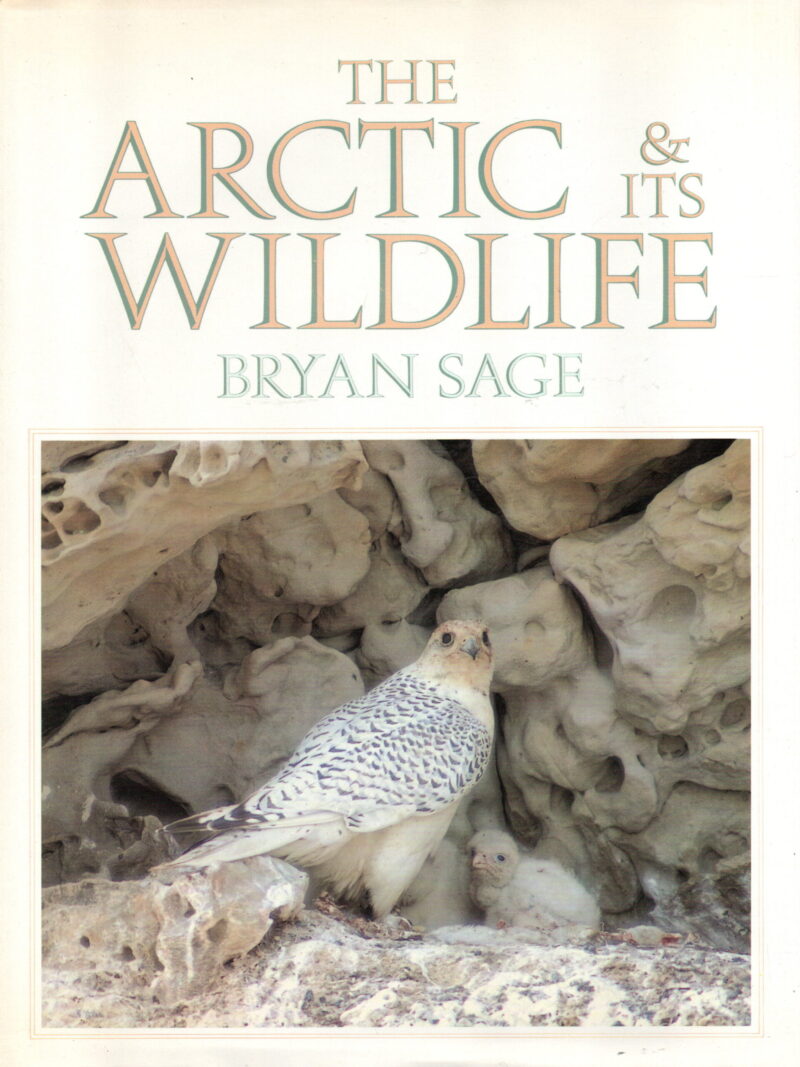 The Arctic & its Wildlife