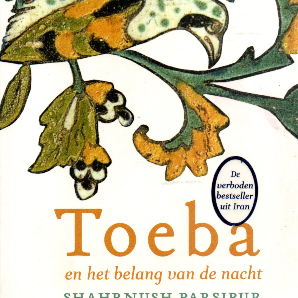 Toeba en het belang van de nacht - roman -