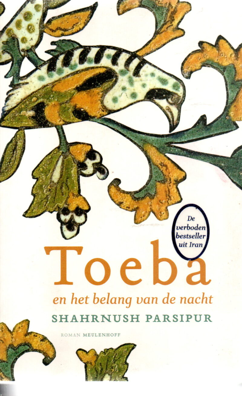 Toeba en het belang van de nacht - roman -