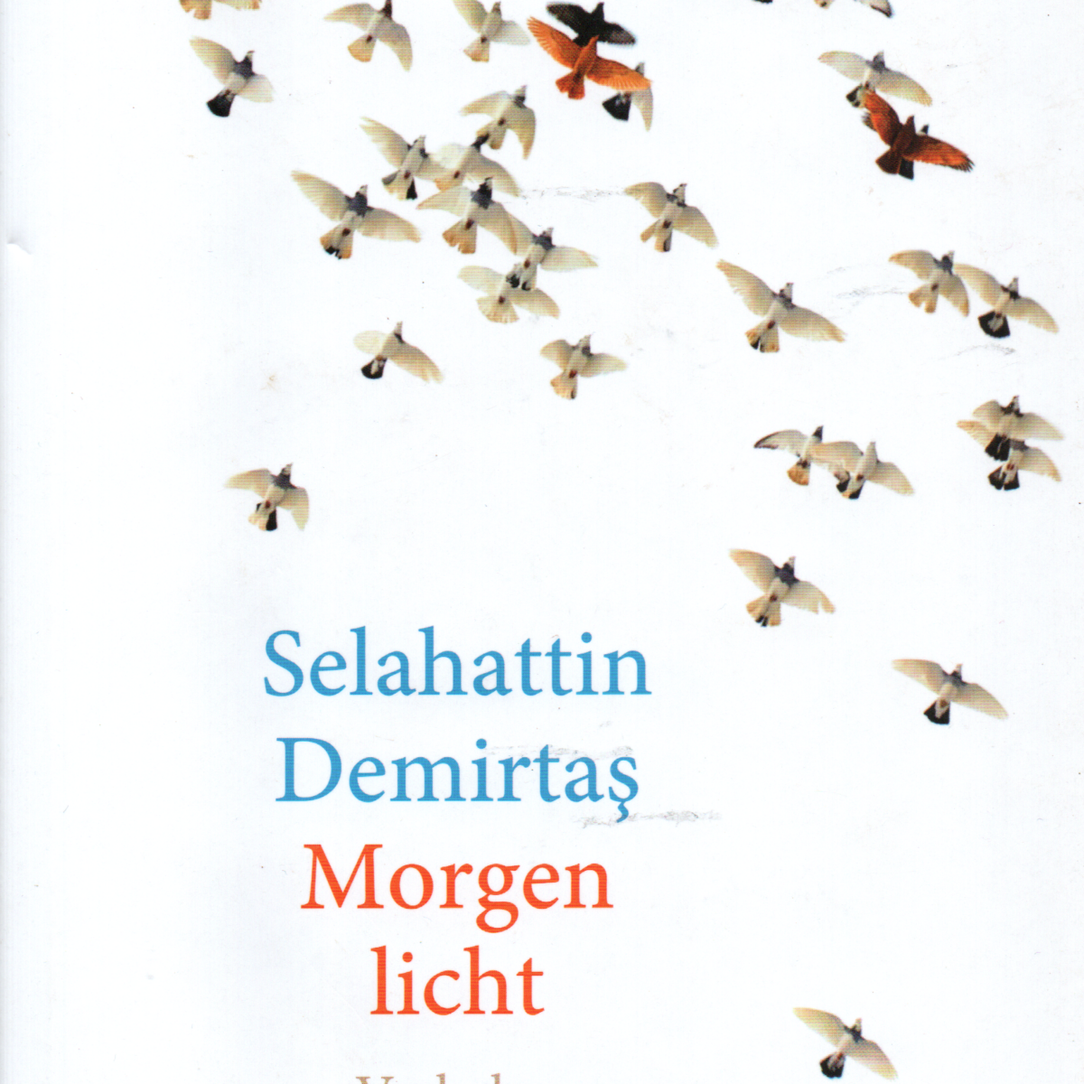 Morgenlicht - Verhalen -