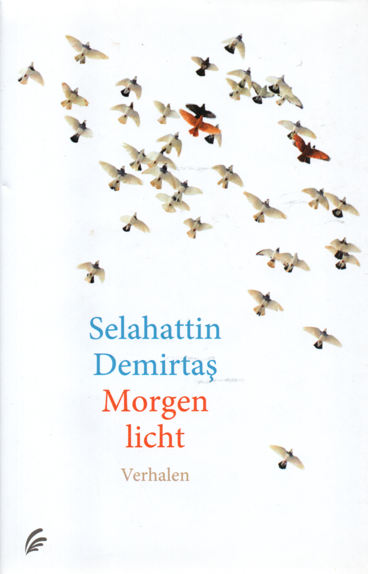 Morgenlicht - Verhalen -