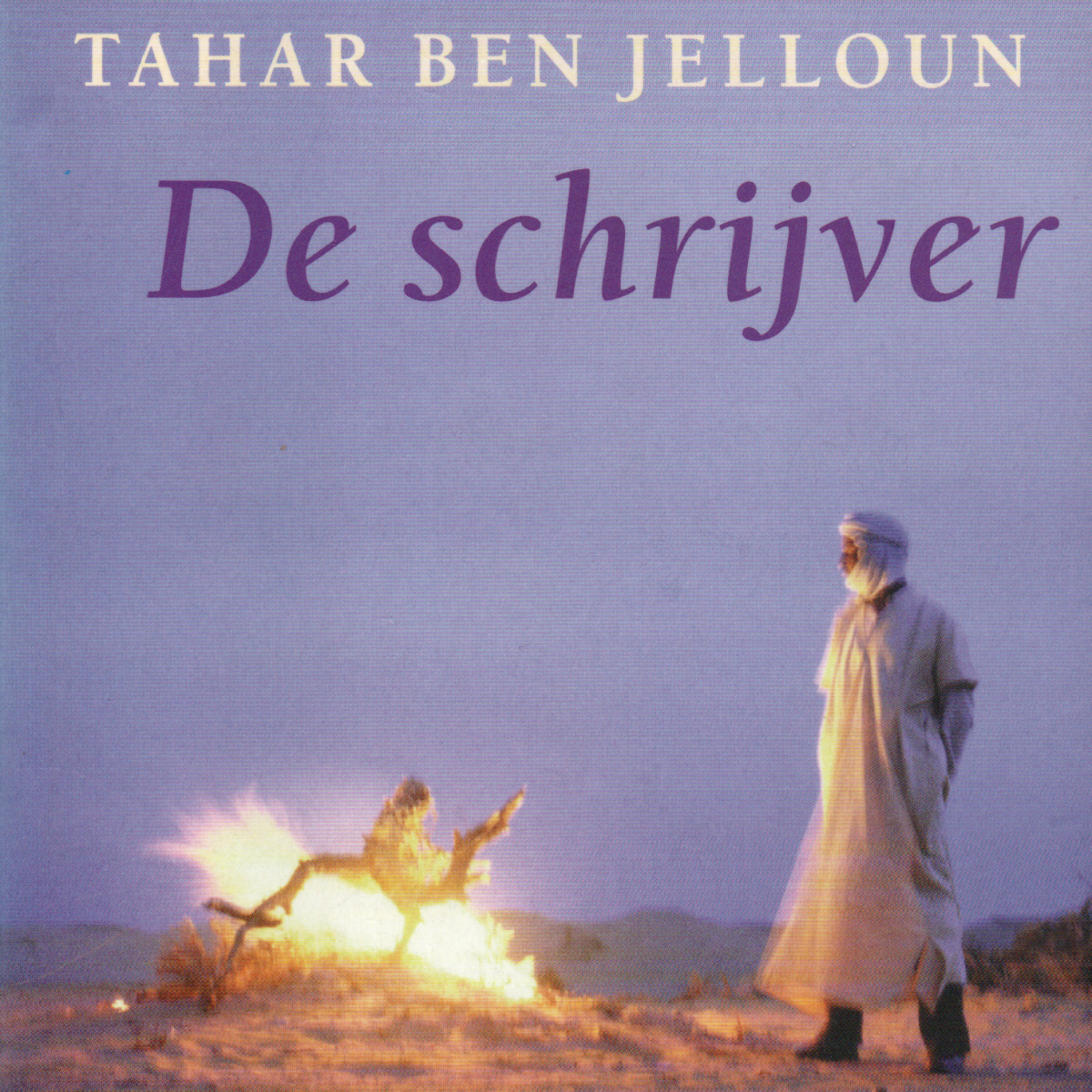 De schrijver - roman -