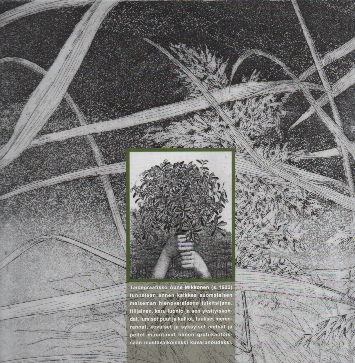 Taldegraafikko - Aune Mikkonen -