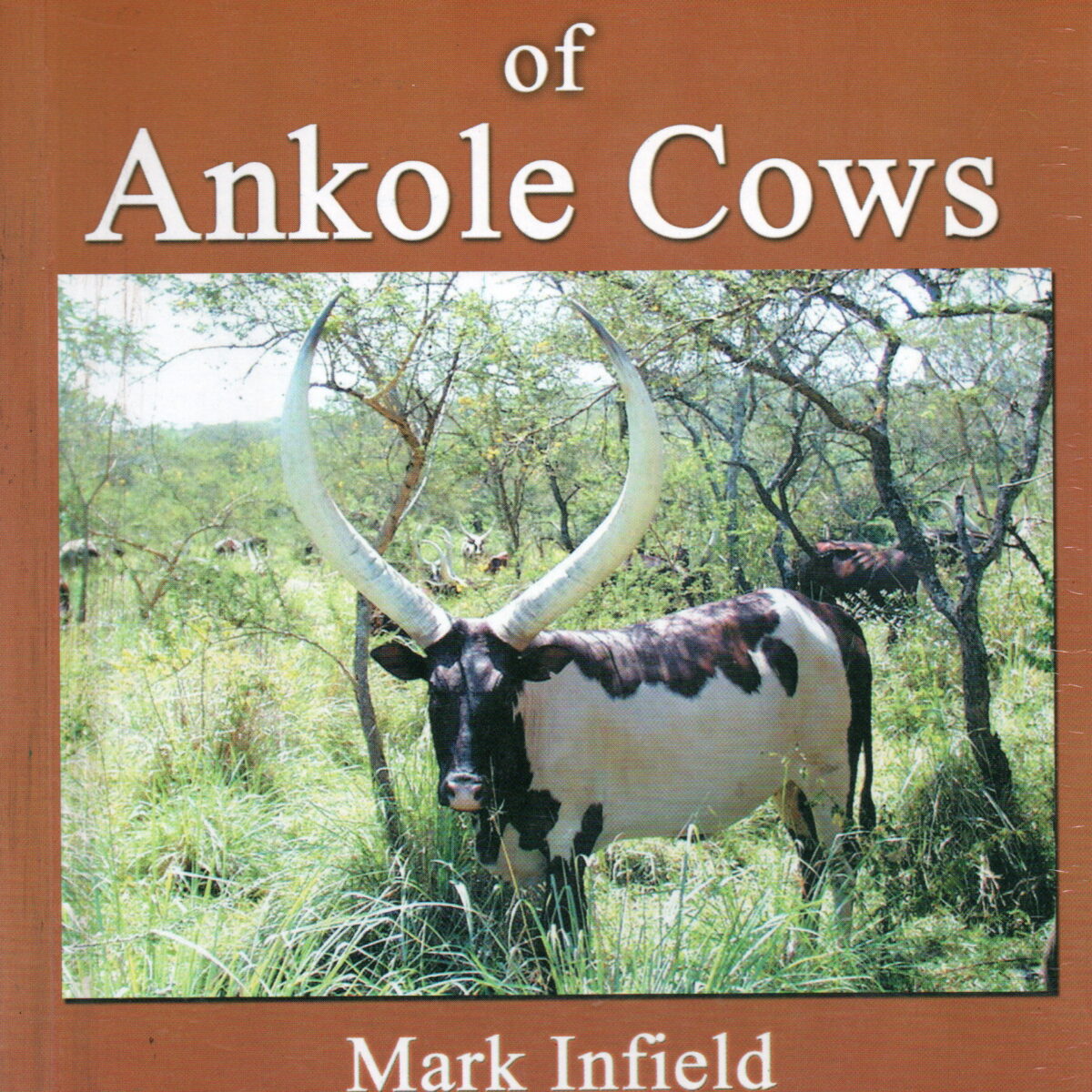 Scan_20260309 (7) The Names of Ankole Cows