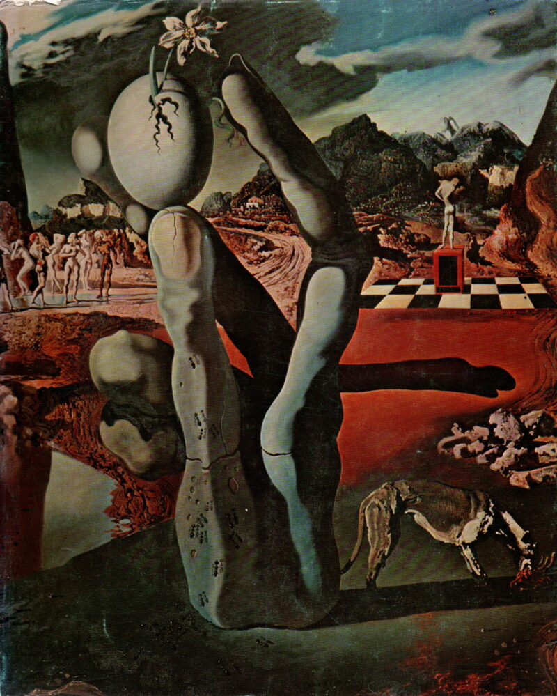 Expositie Dali / Museum Boymans-van Beuningen Rotterdam 1970